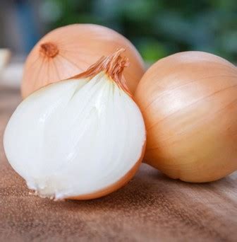 15 Manfaat Bawang Bombay dan Kandungan Bawang Bombay