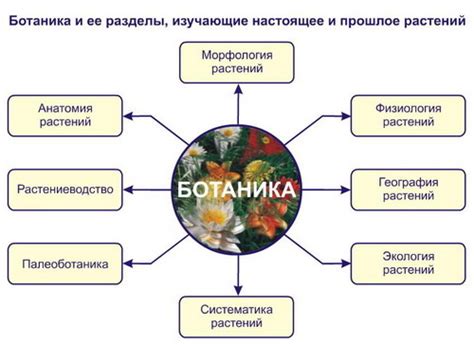 Ботаника