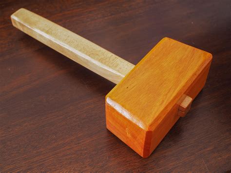 osage orange tree for sale 7