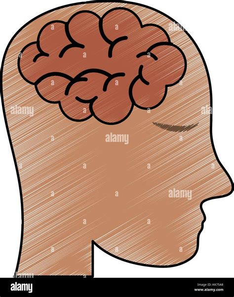 human brain  head icon image stock vector image art alamy