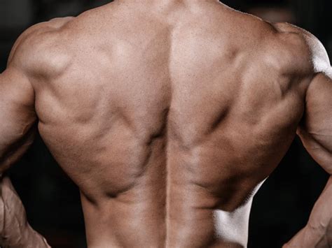 bent  cable row     properly