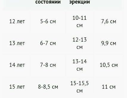 7 лет