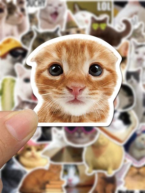 50Pcs Cat Meme Stickers, Cute Cat Waterproof Stickers For Laptop ...