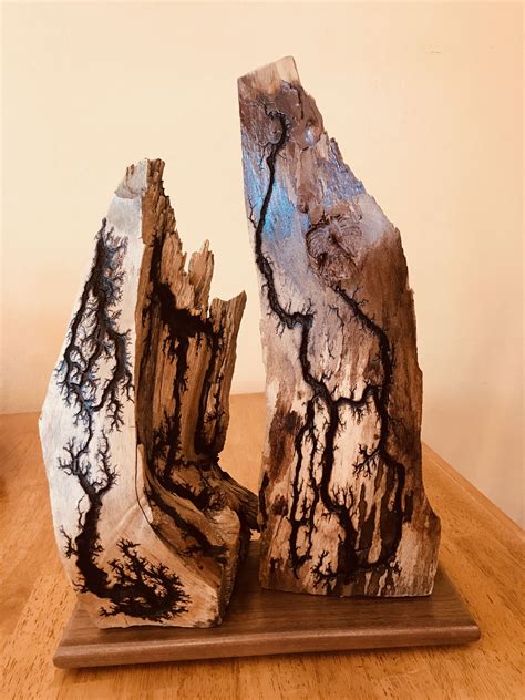 Electrified trees – Artofit