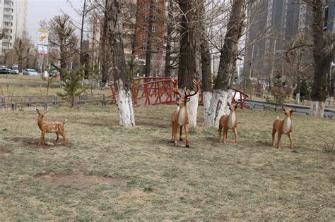 120-н мянгатын цэцэрлэгт хүрээлэнгийн амьтдын эвдэрсэн баримлыг сэргээн ...