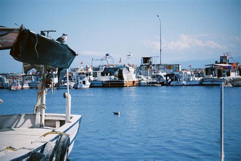 Big+Ass+Twerk+Gif Photos, Download The BEST Free Big+Ass+Twerk+Gif