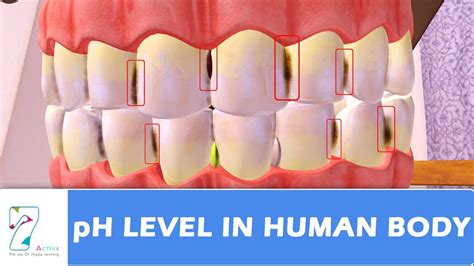 What Is The Highest Ph Level For A Human Body