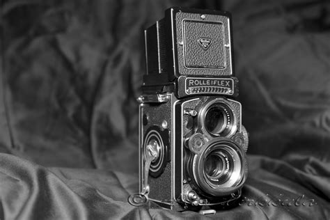 gallery photography