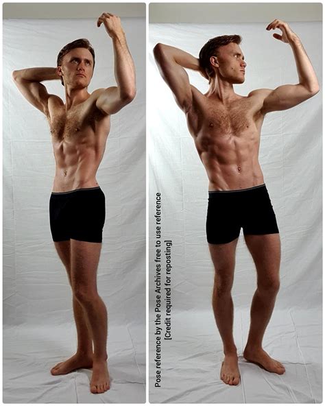 male  anatomy reference  sebastian vosz blog
