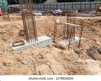 column stumps royalty  images stock  pictures