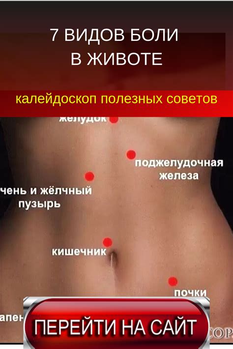 7 ВИДОВ БОЛИ В ЖИВОТЕ | Fitness workout for women, Health tips, At home ...