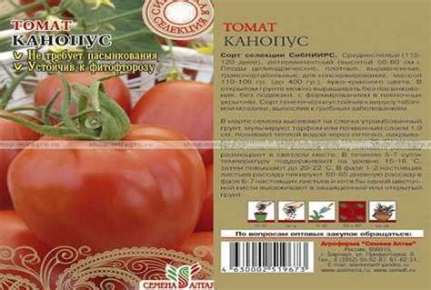 Томат канопус: описание сорта, отзывы, фото