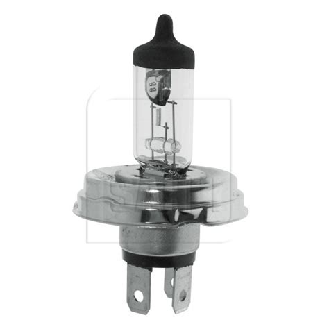 Halogenlampe H5 - Sahli Online Shop