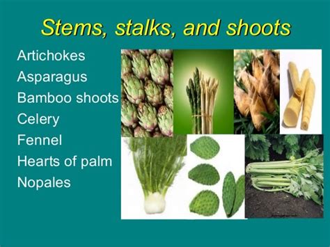 Vegetables