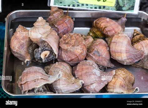 Edible sea snails at Japanese market Stock Photo - Alamy