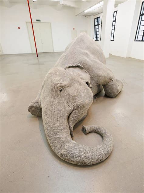 bindi art stock   royalty  stock   dreamstime