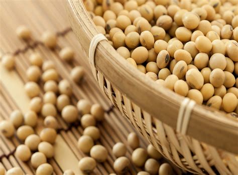 Что такое бобы соевые: Соевые бобы - описание продукта на Gastronom.ru
