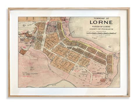 Lorne - Print Modern