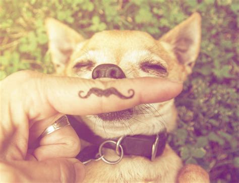 15 Hilarious Dirty GIFs That'll Make You LOL (But Maybe Regret It?) Image 8