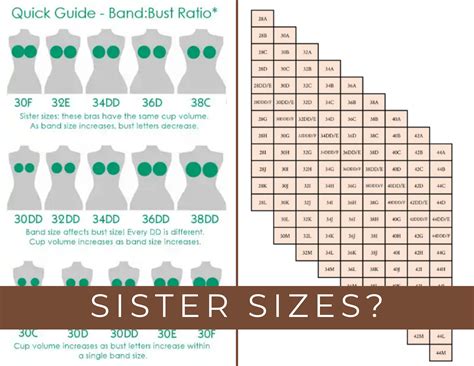 Tips for Ordering a Wire Bra