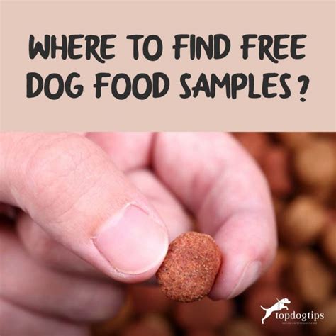 Where to Find FREE Dog Food Samples? – Top Dog Tips