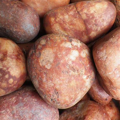 multi red large pebbles pots plants   nation