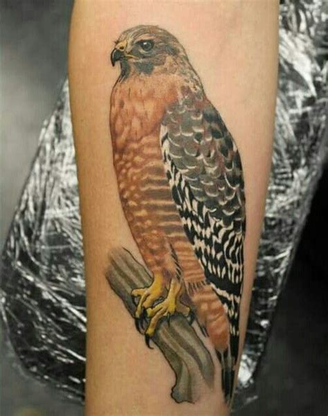 Red Shouldered Hawk Tattoo. Love Becky Ashcraft's work. Blacklist Ink ...