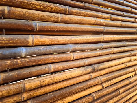 Brown Bamboo Background Free Stock Photo - Public Domain Pictures