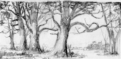 Forest Sketch Easy at PaintingValley.com | Explore collection of Forest ...