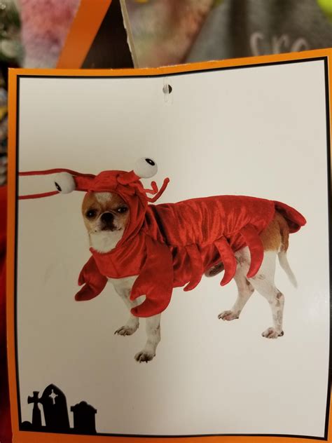 Large Lobster Dog Costume at Kristie Pineda blog