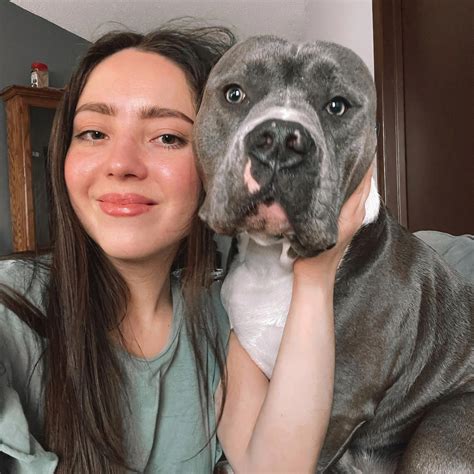 American Bully Registry 4