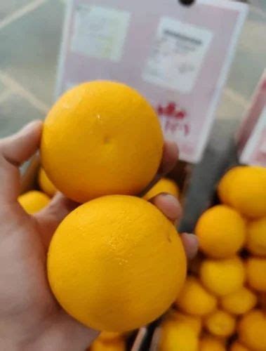 south africa orange packaging size  kg net weight  rs