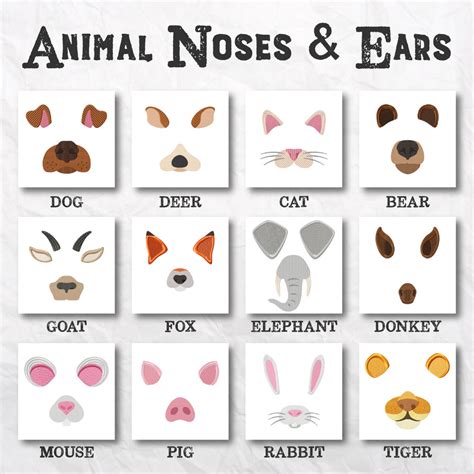 12 Animal Noses And Ears Embroidery Design Pack – Embroidery Super Deal