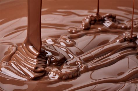 chocolate   history hmhub