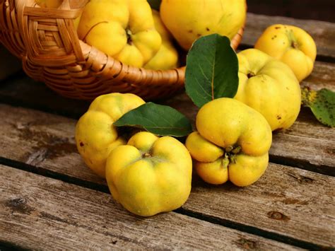 tout savoir sur le coing origines proprietes  utilisation en cuisine