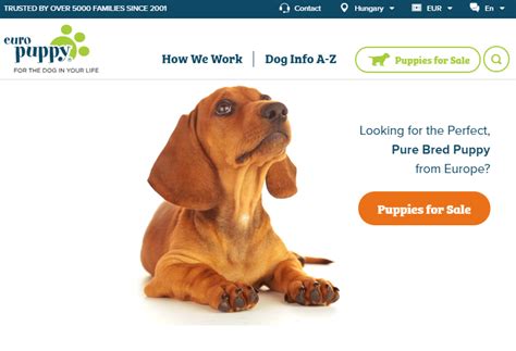 how to sale a dog online