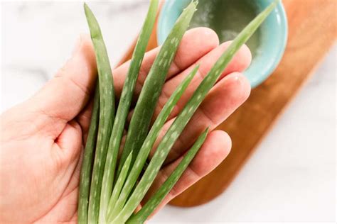 10 Best Uses for Aloe Vera on the Face