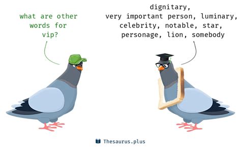 More 80 Vip Synonyms. Similar words for Vip.