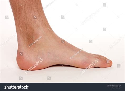 left foot images stock  vectors shutterstock