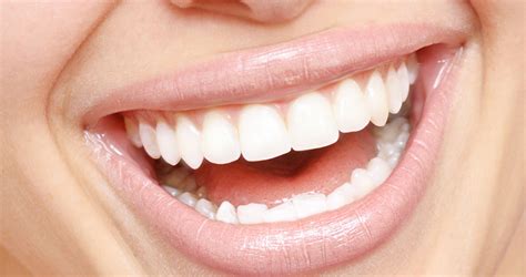 Beyond the Tooth: Exploring Lesser-Known Functions of Teeth | | Woombye ...