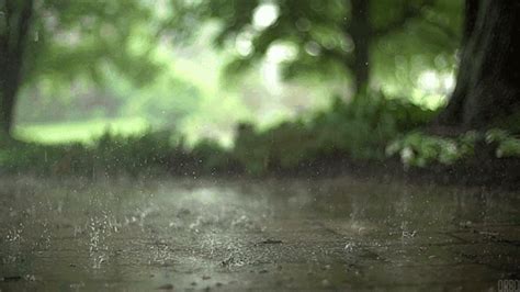 Гифка дождь гиф картинка, скачать анимированный gif на GIFER