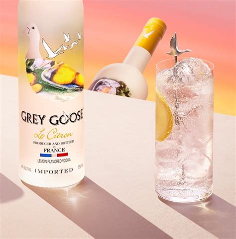 drinks  grey goose citron  andrea mcclelland blog