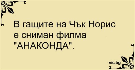 В гащите на Чък Норис е
