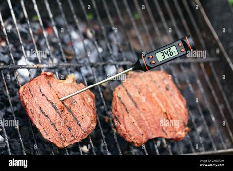 Close-up shot of grilled steak on barbecue with digital thermometer ...