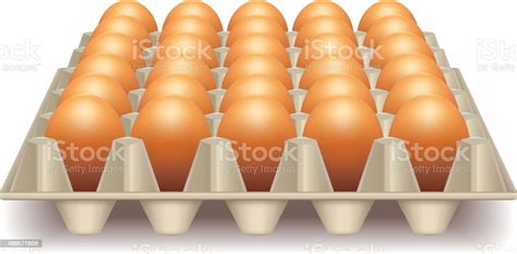 Tray With Eggs Isolated On White Vector Stock Illustration - Download Image Now - Animal Egg ...