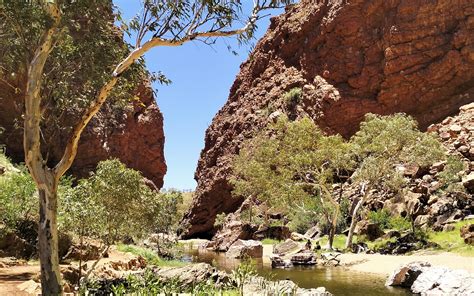 Alice Springs Close at Joseph Cornwall blog