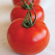 Torry | Syngenta | Önal Tarım