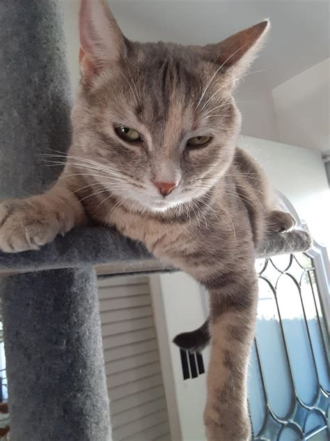 My little Sophia : r/pics