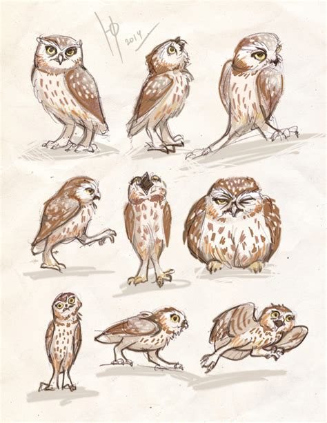 owls sketches 3 by Ptich-ya on DeviantArt