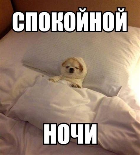 Необычные картинки с пожеланиями доброй ночи